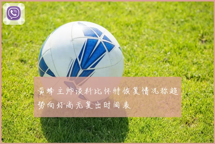 黄蜂主帅谈科比怀特恢复情况称趋势向好尚无复出时间表