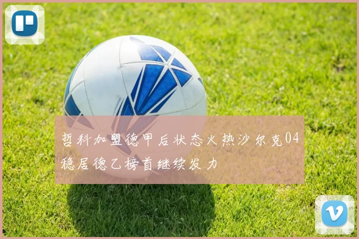 哲科加盟德甲后状态火热沙尔克04稳居德乙榜首继续发力